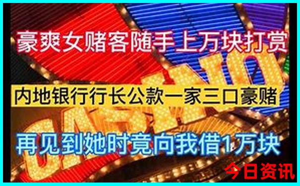 白小姐个人简介