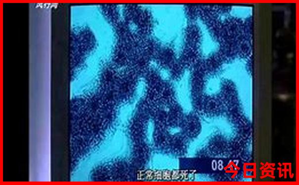 适合夏天带孩子去旅游的地方推荐