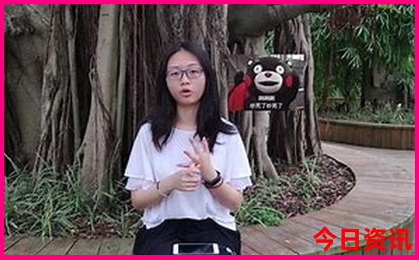 带小宝宝适合去哪里旅游